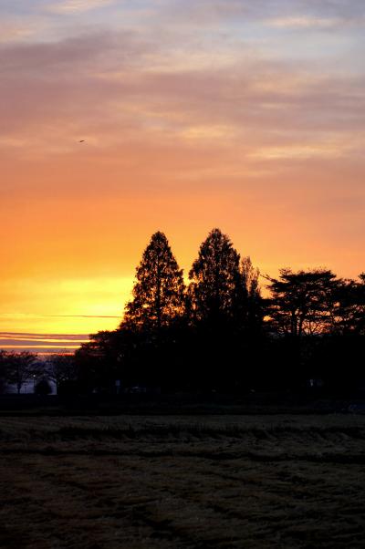 ◆晩秋の“みちのく須賀川”紅葉紀行