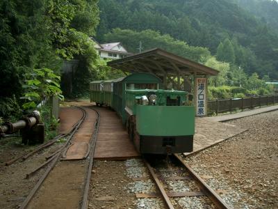 温泉トロッコ列車