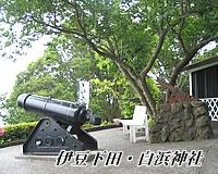 白浜神社/下田水族館/ロープウェイ