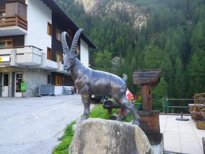 ２０１２年スイス（１４）　晴れたジナールをちょこっと紹介