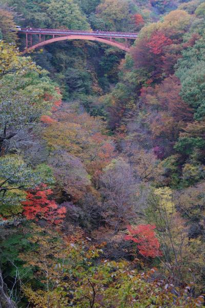 福島県の紅葉満喫　白河～大内宿～芦ノ牧温泉～猪苗代湖