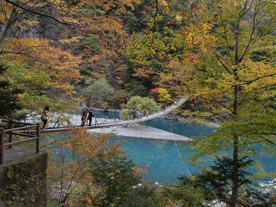 紅葉めぐりの日帰り旅行