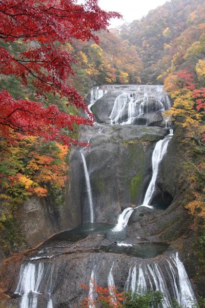 雨の紅葉狩り：花貫渓谷、袋田の滝、竜神大吊橋