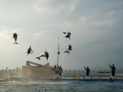 ここではない、どこかへ～2012年・秋の沖縄旅行（後編）