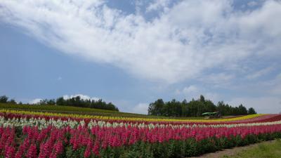 2011年　夏の富良野・美瑛　2日目