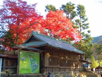 日光の紅葉を見てきました。