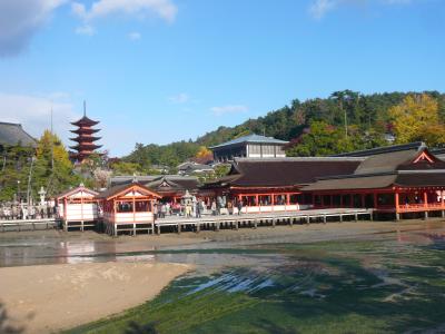 今が旬の厳島神社へ！！