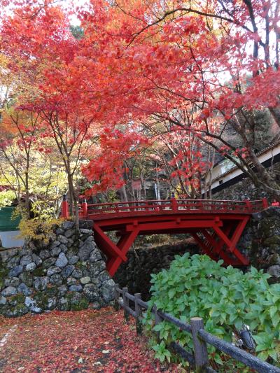 ２０１２・晩秋のある日の紅葉巡り～横蔵寺編～