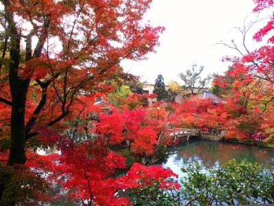 日帰り・紅葉の永観堂