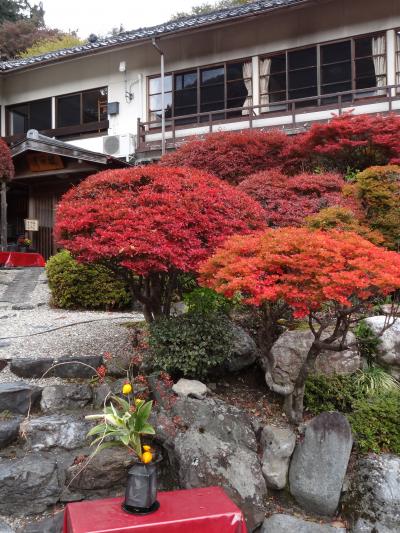 ２０１２・晩秋のある日の紅葉巡り～養老公園編～