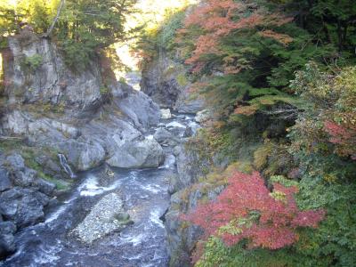 紅葉を探しに奥多摩への日帰り散策（2012年11月）