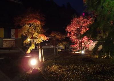 湖東三山と永源寺の紅葉狩り♪withワンコ