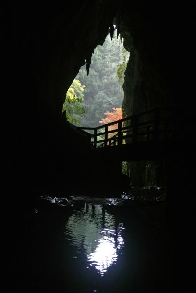 山口県