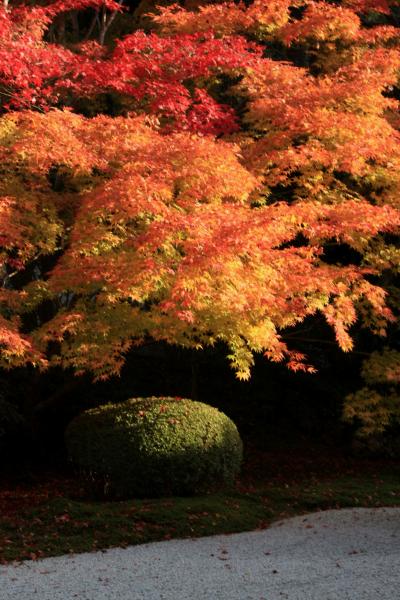 2012年京都の紅葉　南禅寺に行ってきたにゃん