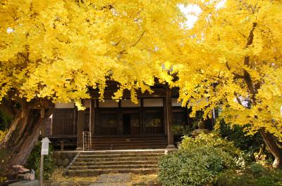 2012　秋を感じたくて黄金色の世界へ＠祖父江町