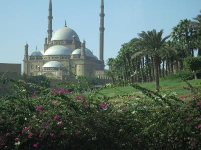 憧れのエジプト周遊8日間⑥～Day.6　カイロ市内・考古学博物館観光～