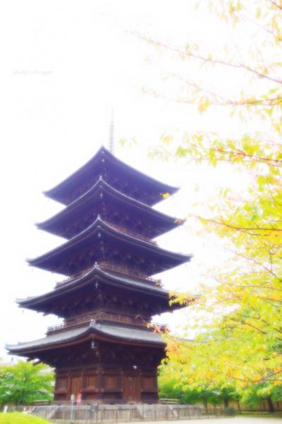 よっしゃ、京都へ行くどす(ぇ)！2012。　東寺へ。
