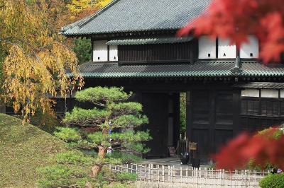 弘前公園の秋