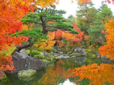 紅葉の日本庭園　由志園（松江市：大根島）