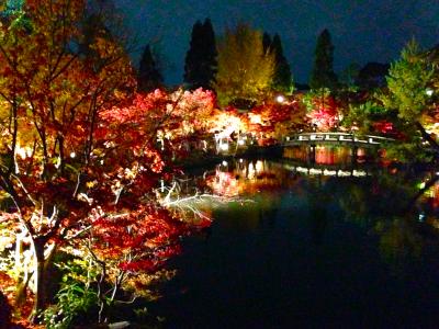 京の雅な紅葉を訪ねて～その参