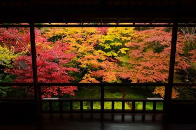 紅葉狩りは京都へ行こう～瑠璃光院編～