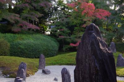 2012　京都紅葉だより　色付き始めた東福寺界隈～光明院へ