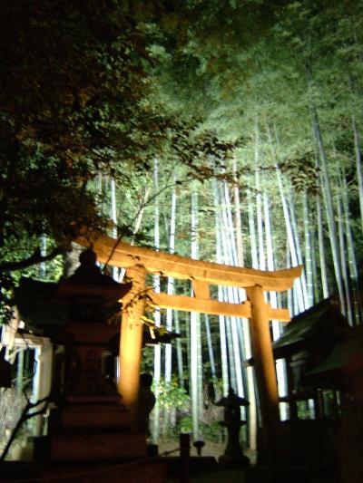 青蓮院 夜の特別拝観