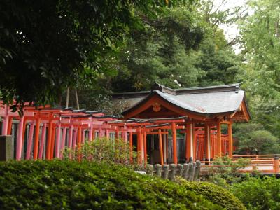 乙女稲荷神社（東京都文京区根津）