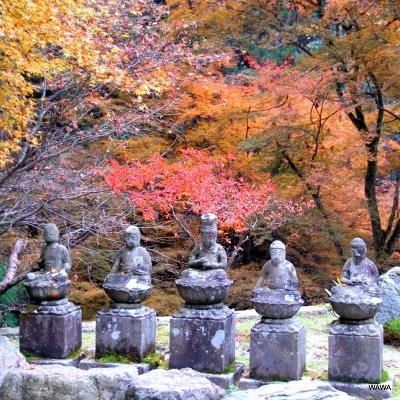 連休直前の京都の紅葉（2012年11月22日撮影の速報）