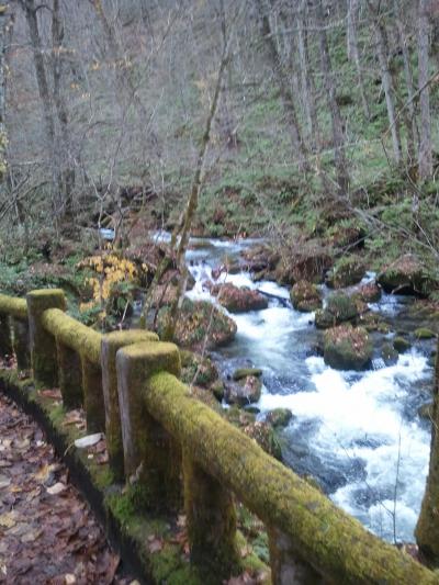 東北大移動