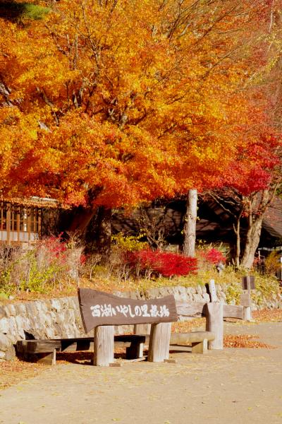 紅くれないの秋&#12316;河口湖&#12316;Vol.2