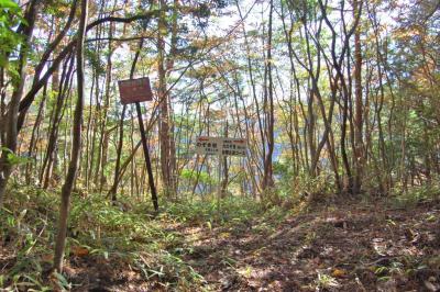 香落渓の紅葉を眼下に曽爾古道を歩く