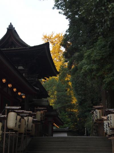 奈良の紅葉（正暦寺）と最古の神社の最古の祭り鎮魂祭