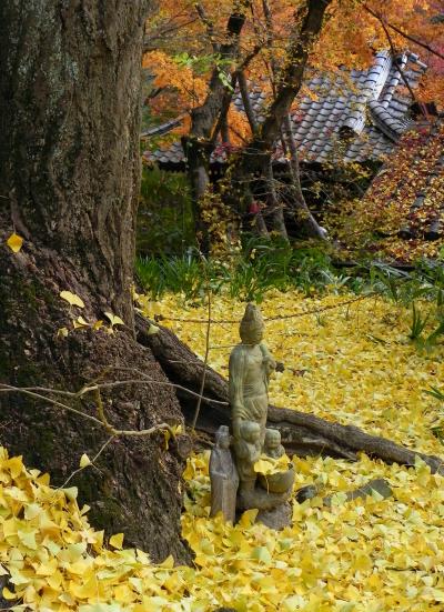 公孫樹の懐に抱かれた晩秋の龍蔵寺～山口市～