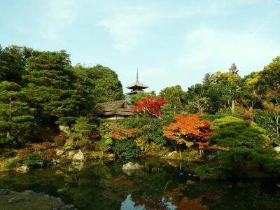 2012 仁和寺の紅葉狩り。