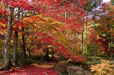 2012　京都紅葉だより  美しく染まる龍穏寺へ