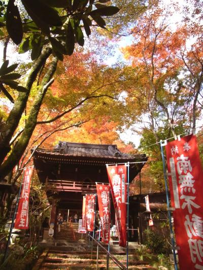 ～山口 紅葉名所巡り～ 龍蔵寺・瑠璃光寺・両足寺