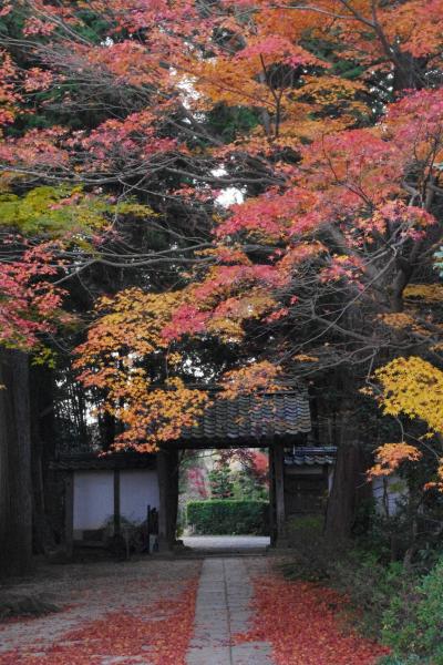 京都　亀岡紅葉巡り　神蔵寺・龍潭寺　2012