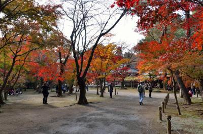 平林寺 （2012 秋）