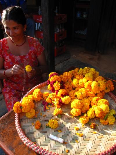 悠久のむこうから。ヒマラヤ便り。～バンディプルを歩く。【下】