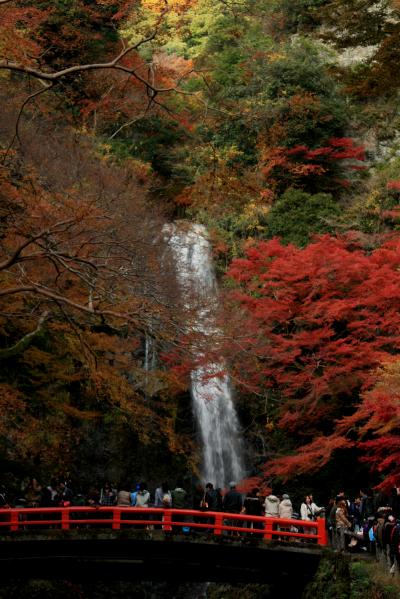 2012年秋～箕面の滝と紅葉をみたにゃん