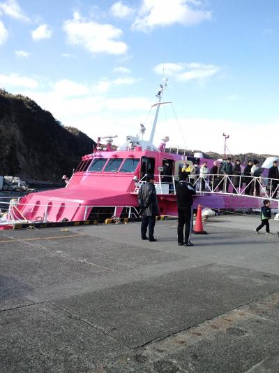 2011年1月の伊豆大島初上陸 1泊2日