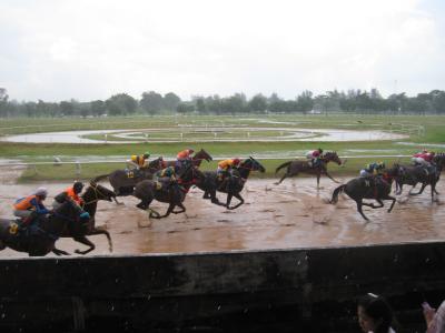 2012 タイ コラート競馬場 ナコンラチャシマのローカル競馬へ潜入