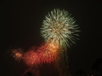 2012.07.22府中競馬場花火