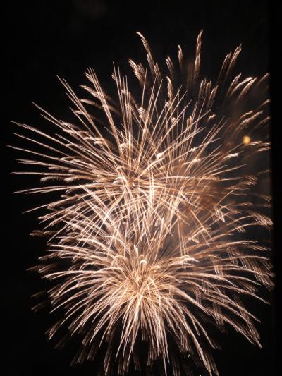 2012.07.28八王子花火大会