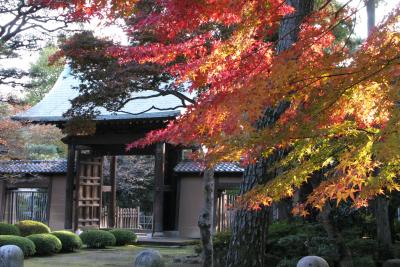 世田谷　歴史散歩（後篇）