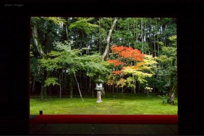 よっしゃ、京都へ行くどす(ぇ)！2012。　大徳寺塔頭・高桐院へ。