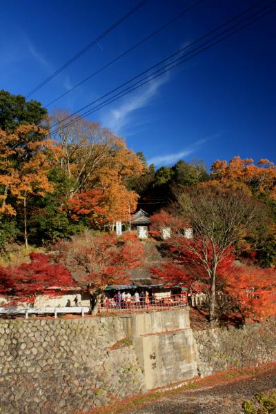 2012年秋　滋賀に紅葉狩りドライブ＜前編＞～永源寺の紅葉だにゃん