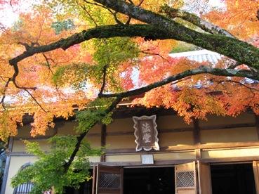 滋賀 紅葉旅行2日目　延暦寺・三井寺・石山寺・百済寺・永源寺