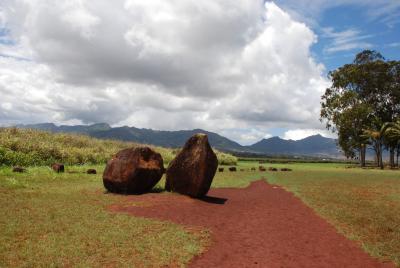 ☆雨が降ったら虹が出た！HAWAII　5泊7日　前編☆